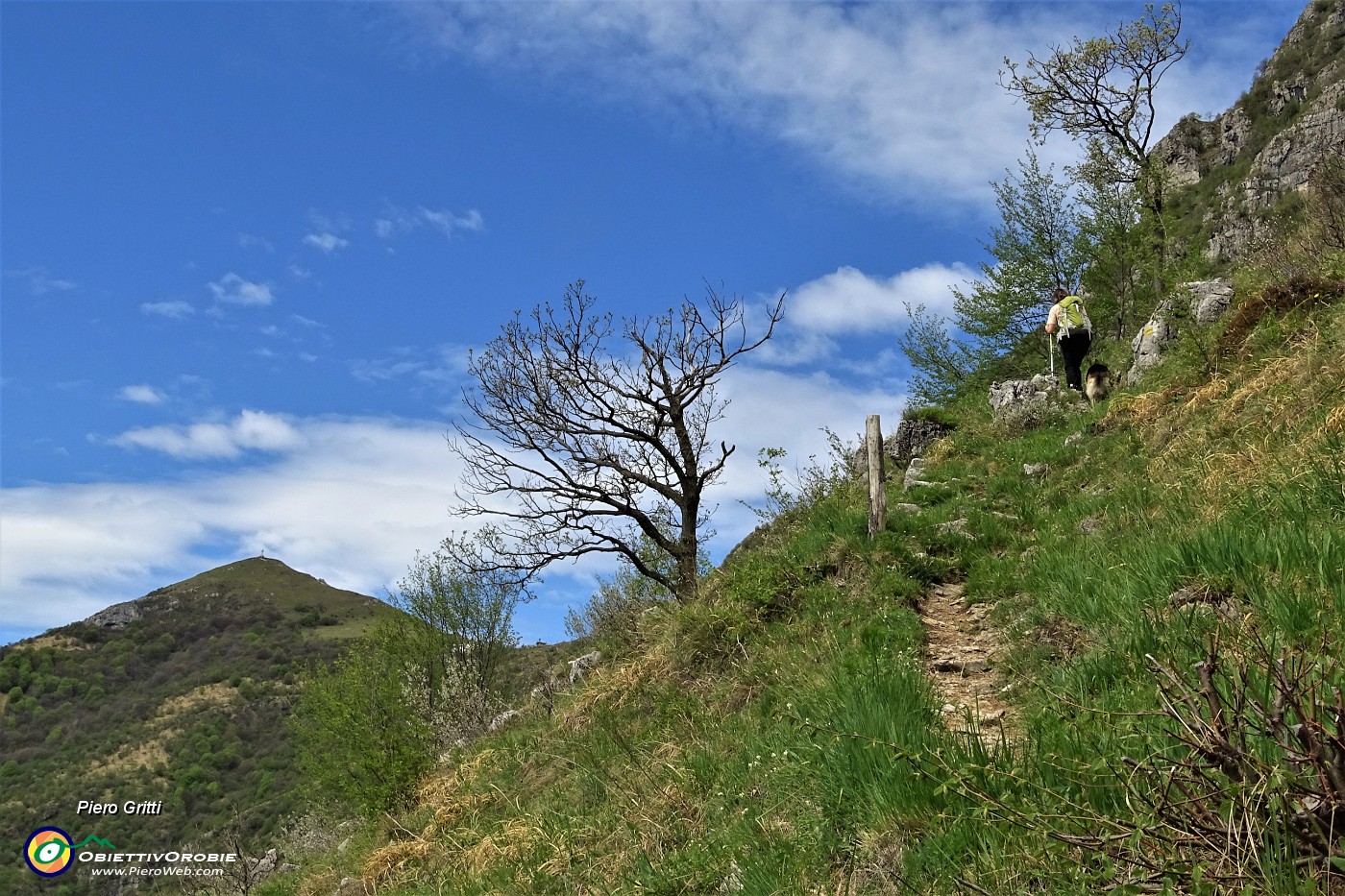 47 In ripida salita con vista sulla cima del Cornizzolo.JPG